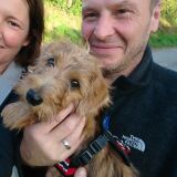 Profilfoto von Hans-Georg Willeke