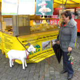 Profilfoto von Renate Kreibich