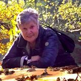 Profilfoto von Regina Behrendt