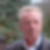 Profilbild von Werner Hansel
