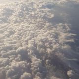 Profilfoto von D. K.