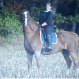 Profilfoto von Nicole Tessmer