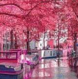 Profilfoto von Ekaterina Heinrich