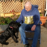 Profilfoto von Helmut Jöpen