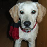 Profilfoto von Engelbrecht Klaus