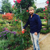 Profilfoto von Jafari Jawid