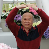 Profilfoto von Djing San Goh