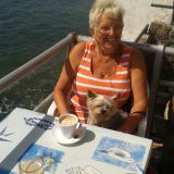 Profilfoto von Angelika Schwarz