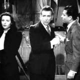 Profilfoto von Sascha von Sievers