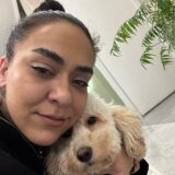 Profilfoto von Dennis Böhme