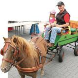 Profilfoto von Klaus-Dieter Knoth