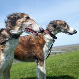 Profilfoto von Thomas Schoenewald