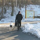 Profilfoto von Heinz - Werner Rosin