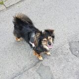 Profilfoto von Manuela Voepel