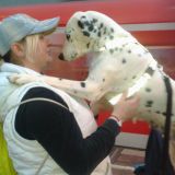 Profilfoto von Anna Dreßen