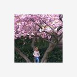 Profilfoto von Elke Fleischer