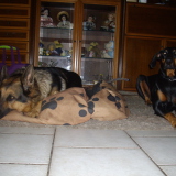 Profilfoto von Günther Pahl