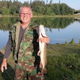 Profilfoto von Harald Mayer